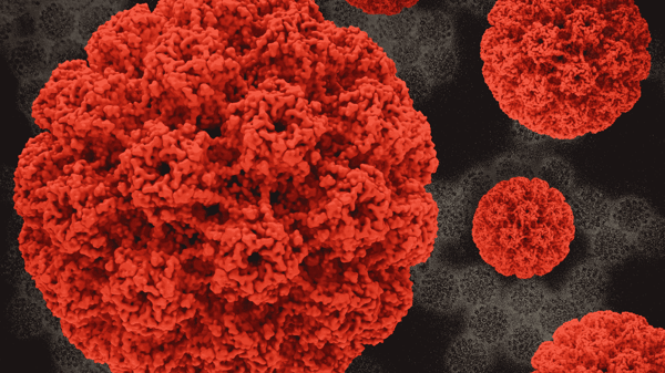 HPV