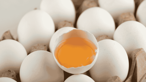Raw-eggs-in-egg-box